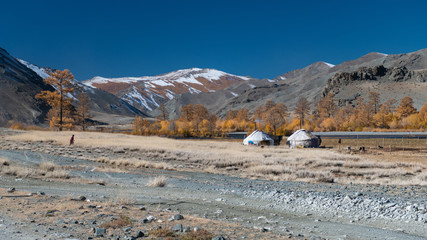 Mongolia Altai landscape in autumn with nomad ger tent and woman