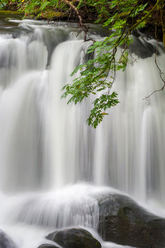 Closeup Of A Waterfall Cascading Over Rocks. Flowing Water From A Waterfall In Whatcom Falls Park, Bellingham, Washington.