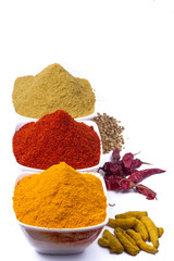 Indian Spices Powder