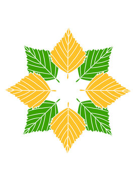 green and yellow leaves arranged in star clip art preview