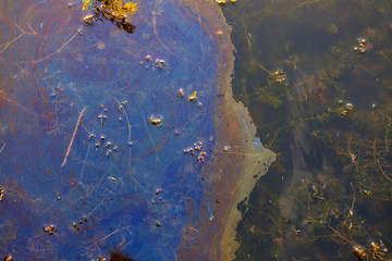 water pollution environmental