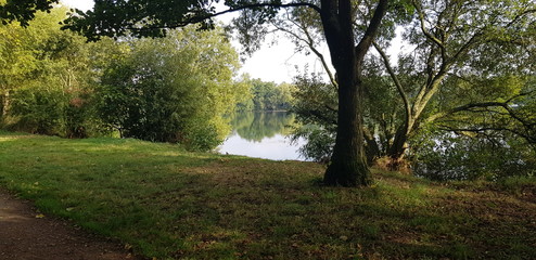 Fototapeta premium morning 