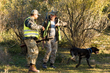Hunters with a german drathaar and spaniel, pigeon hunting with dogs in reflective vests