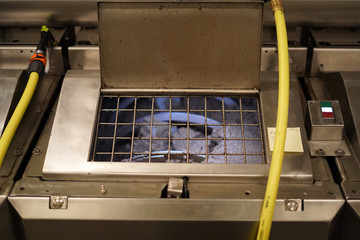 genuine olive oil mill production