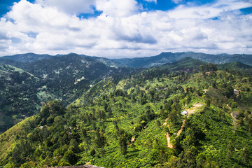 Naklejka na ściany i meble View over the mountains from Little Adams Peak , Sri Lanka.