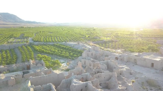 A very old village with barberry garden in Iran. Iranian Endemic Plant.