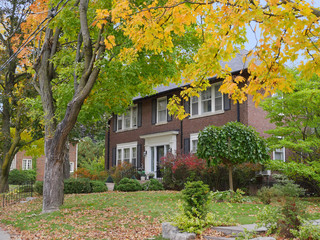 fall scene in residential district with mature trees