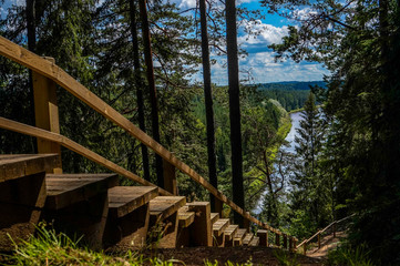 Fototapeta premium Nature trail stairs high on the forest hill