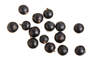 black currant isolated on white background. Top view. Flat lay pattern