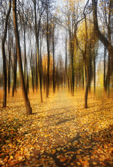 Dramatic autumn park landscape illustration background