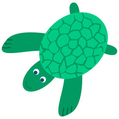 Green turtle. Vector drawing in flat style. Isolated