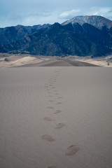 Footprints in the sand dunes - 228755672