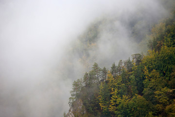 Pieniny w jesiennych barwach widziane z Sokolicy