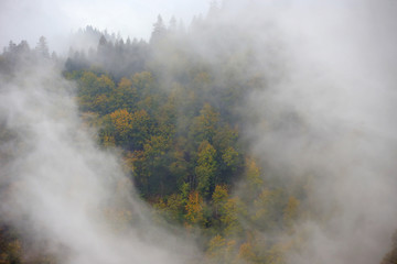 Pieniny w jesiennych barwach widziane z Sokolicy