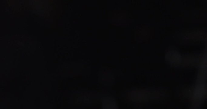 Cabbage Leaves. Lettuce. Fiber. Green. Preparation Of Burger. Food. Kitchen.