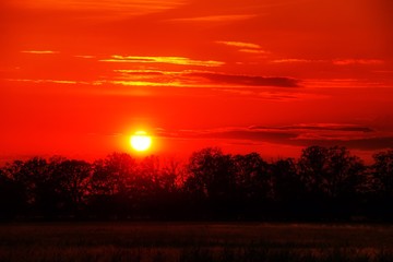 red sky at a sunset with tree silhouettes