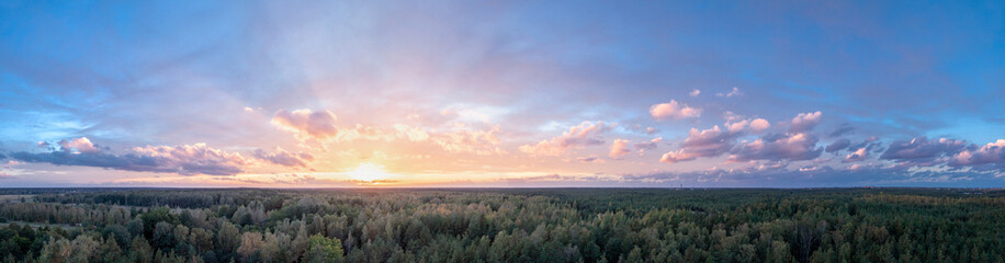 Panorama sunset over the forest.