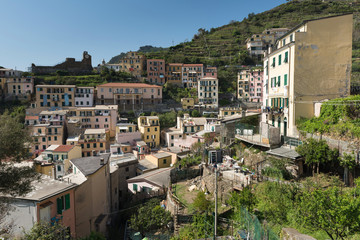 Manarola- beautiful village in Cinque terre, Liguria, Italy