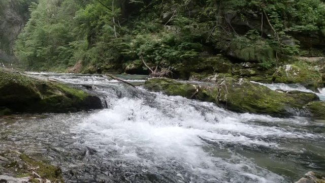 SLOWMO of a pristine river stream flowing in an untouched small gorge valley with plenty of trees and vegetation.