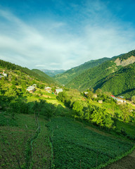 Mountains of Khulo, Adjara, Georgia. 