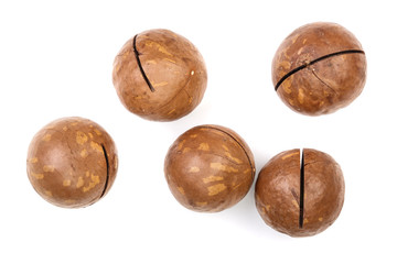 unshelled macadamia nuts isolated on white background. Top view. Flat lay pattern