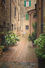 Flowery streets on a rainy spring day in a small magical village Pienza, Tuscany.