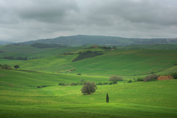 Fototapeta na wymiar Tuscany, panoramic landscape - Italy