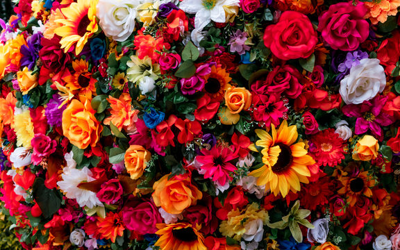 Traditional Mexican flowers used for day of the dead altars