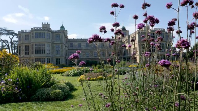 Breeze stirs tall purple flowers in the foreground of the garden Audley End mansion house in Saffron Walden, Essex, England