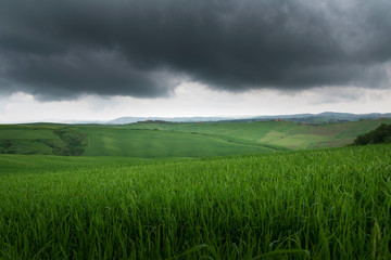 Dramatic beautiful view of green fields and meadows at sunset in Tuscany