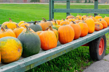 Roadside farm stand with wagon of pumpkins in variety of shapes, sizes and colors