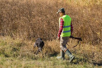 Hunters with a german drathaar and spaniel, pigeon hunting with dogs in reflective vests