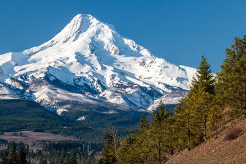 Mt Hood snow covered