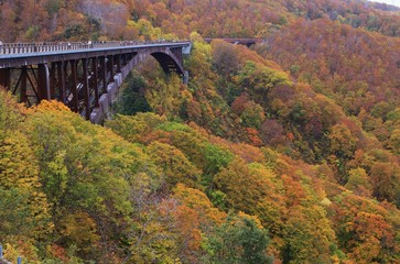 秋の城ヶ倉大橋