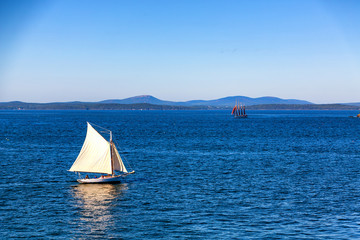 Two Sailboats near Bar Harbor
