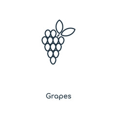 grapes icon vector