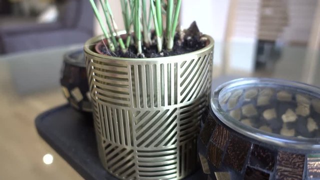 A plant with decorative pots