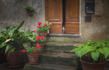Local cat at Flowery streets on a rainy spring day in a small magical village Pienza, Tuscany