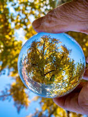 The sun id poking out through the splendor of autumn colors on a crisp fall day in October.