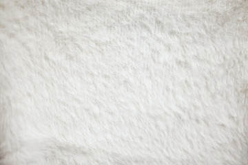 Close up furry white cloth texture.