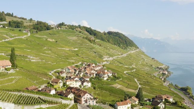 Overflying typical village (Epesses) in Lavaux vineyard - Switzerland