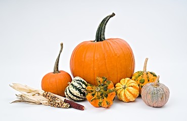 Pumpkin selection  for Halloween on white background