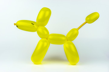 Fun Yellow Twisted Balloon Animal Dog