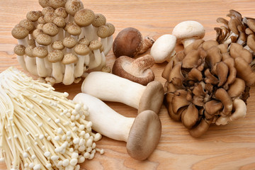 キノコの盛り合わせ