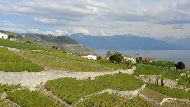 Drone reveal shot of the village of Cully and Lake Leman, Lavaux - Switzerland
Partly cloudy day