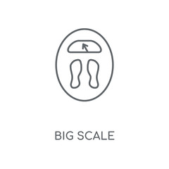 big scale icon