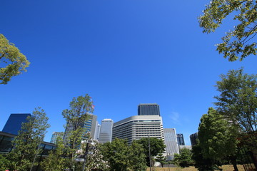 Obraz premium 大阪城公園