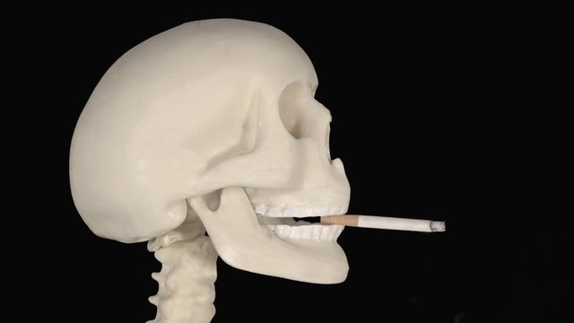 Time lapse of human skull smoking a cigarette in the studio with dark background. Shot in 4k resolution