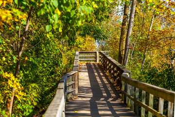 Fototapeta premium Hamilton, CANADA - October 16, 2018: colorful sunny autumn full of colors in the park near Lake Ontario