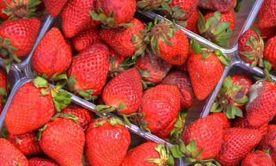 fresh red strawberry, vitamin product in plastic box